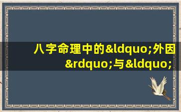 八字命理中的“外因”与“内因”究竟指什么