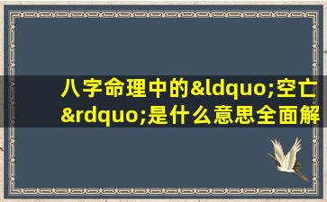 八字命理中的“空亡”是什么意思全面解析空亡的含义与影响