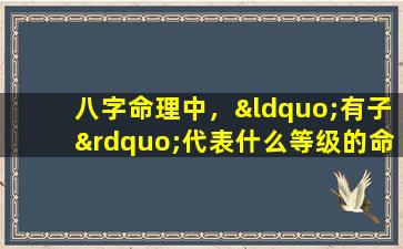 八字命理中，“有子”代表什么等级的命运