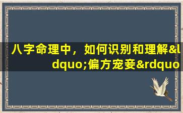 八字命理中，如何识别和理解“偏方宠妾”的男性命格特征