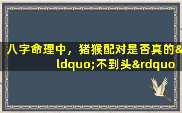 八字命理中，猪猴配对是否真的“不到头”