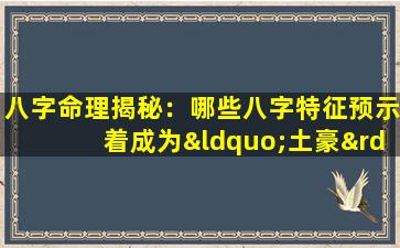 八字命理揭秘：哪些八字特征预示着成为“土豪”