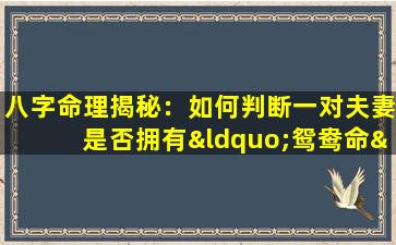 八字命理揭秘：如何判断一对夫妻是否拥有“鸳鸯命”