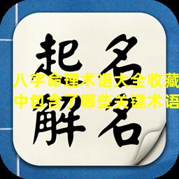 八字命理术语大全收藏中包含了哪些关键术语