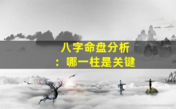 八字命盘分析：哪一柱是关键