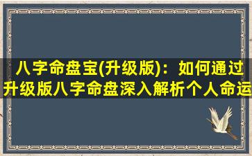 八字命盘宝(升级版)：如何通过升级版八字命盘深入解析个人命运