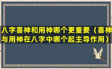 八字喜神和用神哪个更重要（喜神与用神在八字中哪个起主导作用）