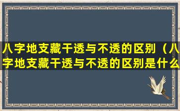 八字地支藏干透与不透的区别（八字地支藏干透与不透的区别是什么）