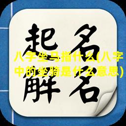 八字坐马指什么(八字中的坐骑是什么意思)