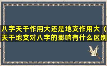 八字天干作用大还是地支作用大（天干地支对八字的影响有什么区别）