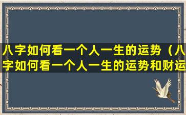 八字如何看一个人一生的运势（八字如何看一个人一生的运势和财运）