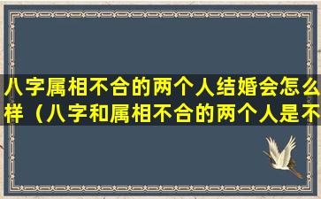 八字属相不合的两个人结婚会怎么样（八字和属相不合的两个人是不是不能在一起）