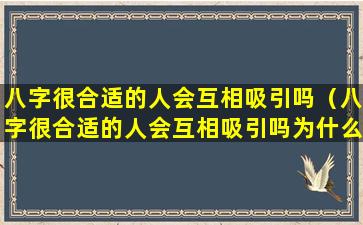 八字很合适的人会互相吸引吗（八字很合适的人会互相吸引吗为什么）