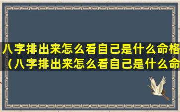 八字排出来怎么看自己是什么命格（八字排出来怎么看自己是什么命格的人）