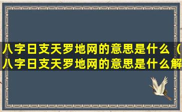 八字日支天罗地网的意思是什么（八字日支天罗地网的意思是什么解释）