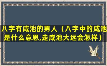 八字有咸池的男人（八字中的咸池是什么意思,走咸池大远会怎样）