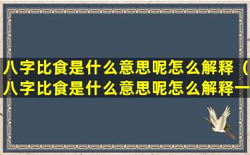 八字比食是什么意思呢怎么解释（八字比食是什么意思呢怎么解释一下）