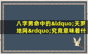 八字男命中的“天罗地网”究竟意味着什么