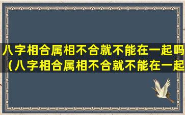 八字相合属相不合就不能在一起吗（八字相合属相不合就不能在一起吗为什么）