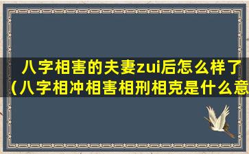 八字相害的夫妻zui后怎么样了（八字相冲相害相刑相克是什么意思）