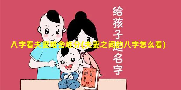 八字看夫妻难舍难分(夫妻之间的八字怎么看)