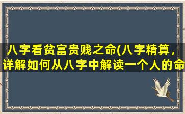 八字看贫富贵贱之命(八字精算，详解如何从八字中解读一个人的命运与财富走势)