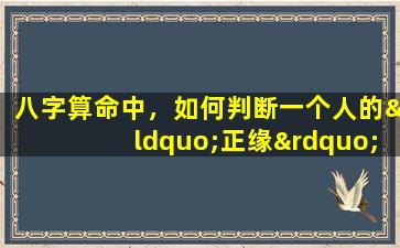 八字算命中，如何判断一个人的“正缘”是什么命