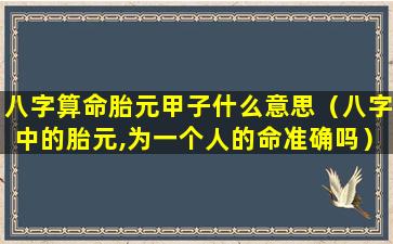 八字算命胎元甲子什么意思（八字中的胎元,为一个人的命准确吗）