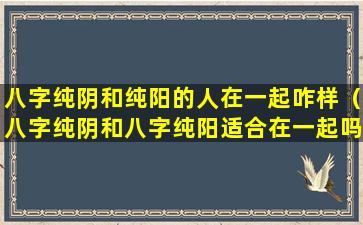 八字纯阴和纯阳的人在一起咋样（八字纯阴和八字纯阳适合在一起吗）