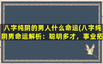 八字纯阴的男人什么命运(八字纯阴男命运解析：聪明多才，事业拓展广阔。)