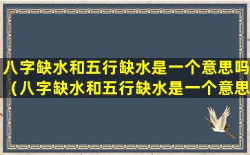 八字缺水和五行缺水是一个意思吗（八字缺水和五行缺水是一个意思吗怎么办）