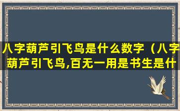 八字葫芦引飞鸟是什么数字（八字葫芦引飞鸟,百无一用是书生是什么生肖）