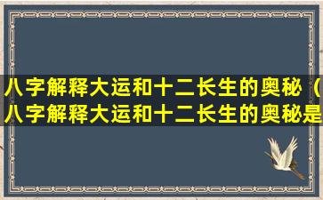 八字解释大运和十二长生的奥秘（八字解释大运和十二长生的奥秘是什么）