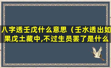 八字透壬戊什么意思（壬水透出如果戊土藏中,不过生员罢了是什么意思）