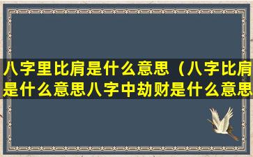 八字里比肩是什么意思（八字比肩是什么意思八字中劫财是什么意思）