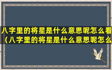 八字里的将星是什么意思呢怎么看（八字里的将星是什么意思呢怎么看婚姻）