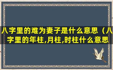 八字里的难为妻子是什么意思（八字里的年柱,月柱,时柱什么意思）