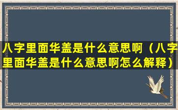 八字里面华盖是什么意思啊（八字里面华盖是什么意思啊怎么解释）