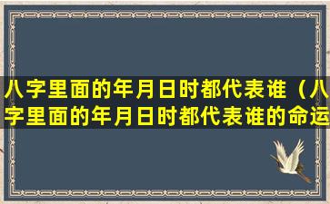 八字里面的年月日时都代表谁（八字里面的年月日时都代表谁的命运）