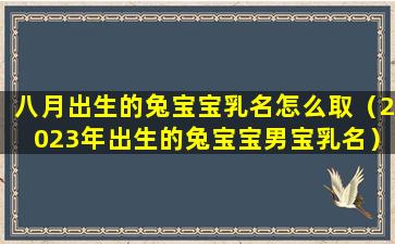 八月出生的兔宝宝乳名怎么取（2023年出生的兔宝宝男宝乳名）