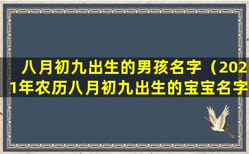 八月初九出生的男孩名字（2021年农历八月初九出生的宝宝名字）