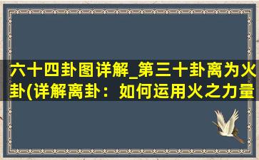 六十四卦图详解_第三十卦离为火卦(详解离卦：如何运用火之力量化解困局)