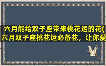 六月能给双子座带来桃花运的花(六月双子座桃花运必备花，让你爱情甜蜜满溢)