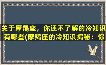 关于摩羯座，你还不了解的冷知识有哪些(摩羯座的冷知识揭秘：你绝对想象不到的底层心路历程！)