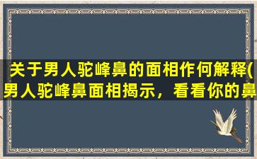 关于男人驼峰鼻的面相作何解释(男人驼峰鼻面相揭示，看看你的鼻子了吗？)