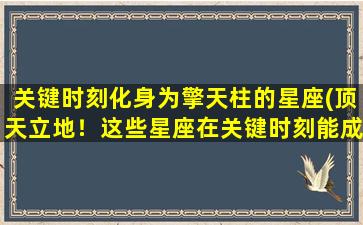 关键时刻化身为擎天柱的星座(顶天立地！这些星座在关键时刻能成为擎天柱)