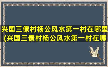 兴国三僚村杨公风水第一村在哪里(兴国三僚村杨公风水第一村在哪里建的)