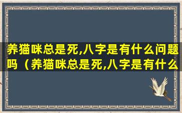 养猫咪总是死,八字是有什么问题吗（养猫咪总是死,八字是有什么问题吗为什么）