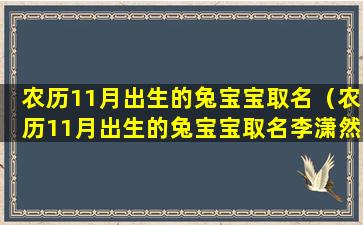 农历11月出生的兔宝宝取名（农历11月出生的兔宝宝取名李潇然好听还是李嘉泽好听呢）