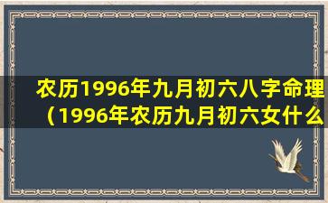 农历1996年九月初六八字命理（1996年农历九月初六女什么时候婚动）